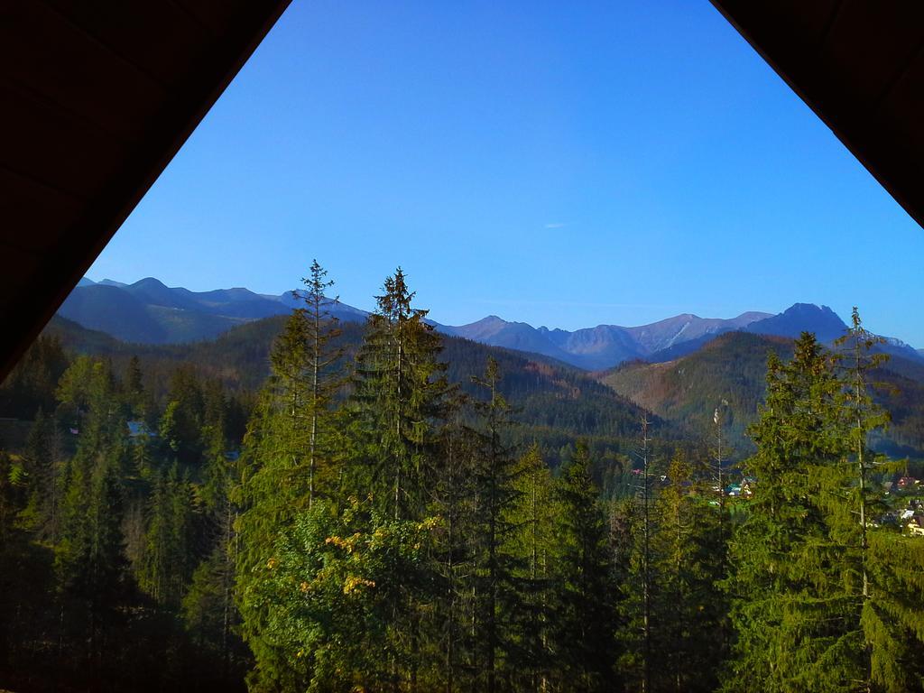 Kominkowy Zakopane Eksteriør billede